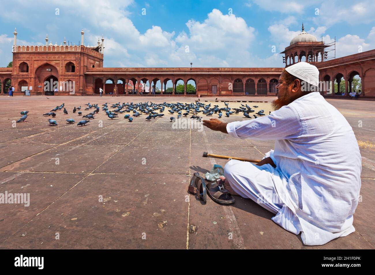 DELHI, INDIA AUGUST 29, 2011 Muslim man feeding pigeons in India