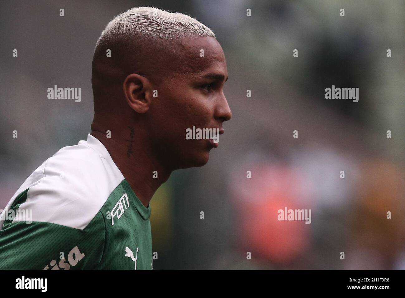 SP Sao Paulo 10/17/2021 BRAZILIAN TO 2021, PALMEIRAS X