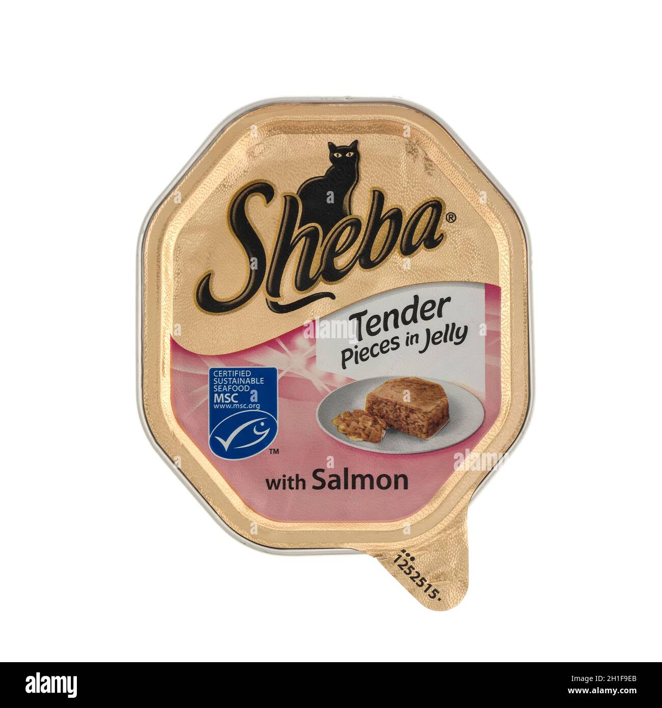 sheba salmon