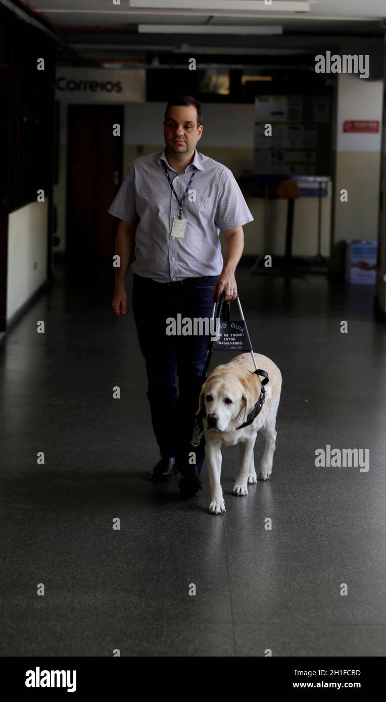 salvador, bahia / brazil - march 20, 2019: visually impaired uses his guide dog to get around the neighborhood of Nazare in salvador city.    *** Loca Stock Photo