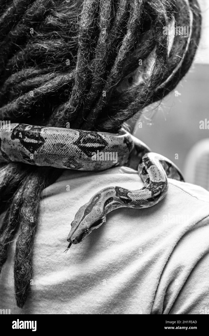Snake around neck hi-res stock photography and images - Alamy
