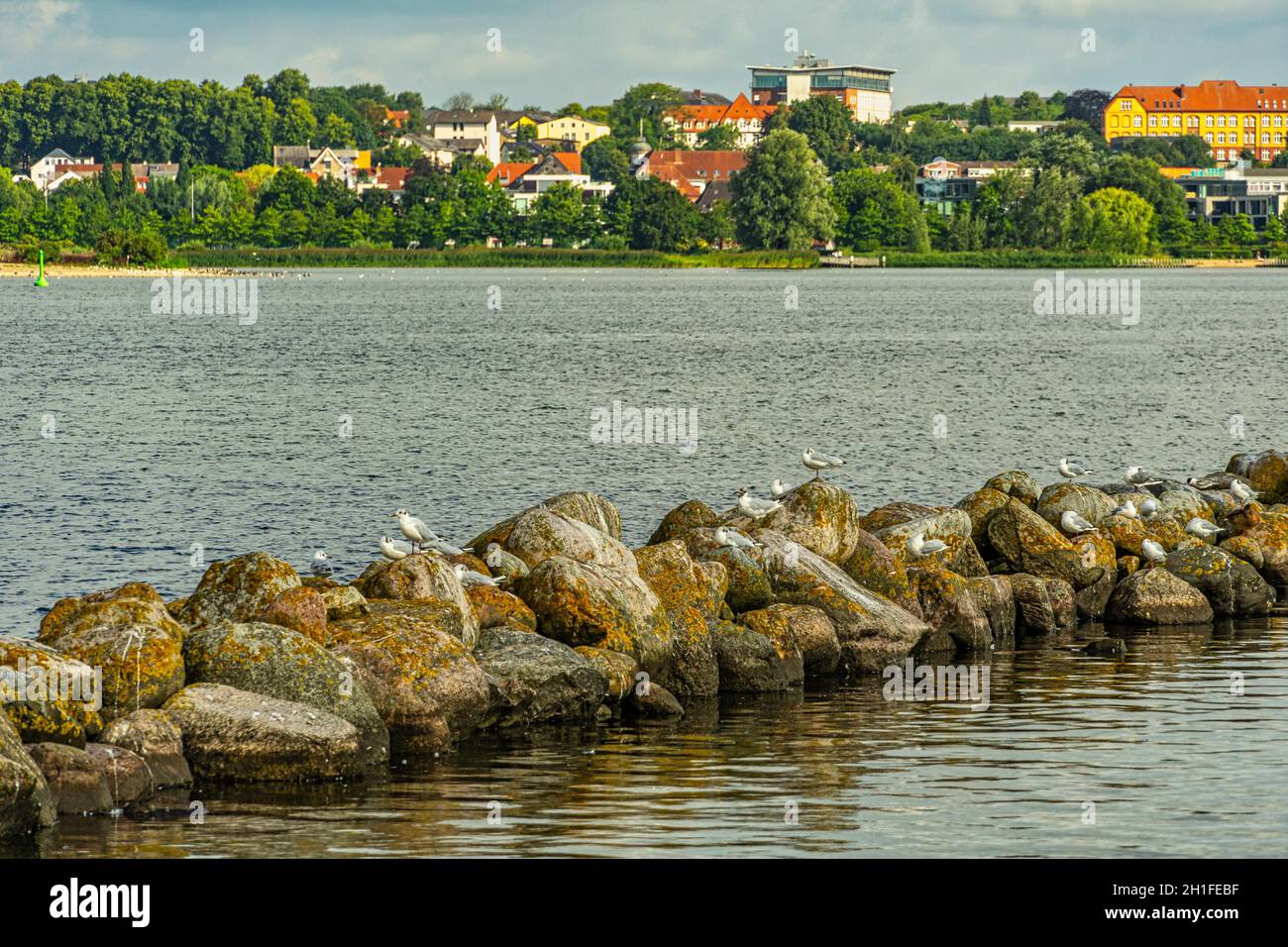 Rocks and seagulls in the Schleswig channel in front of the Busdorf marina, Haddeby. Schleswig, Schleswig-Flensburg, Schleswig-Holstein, Germany Stock Photo