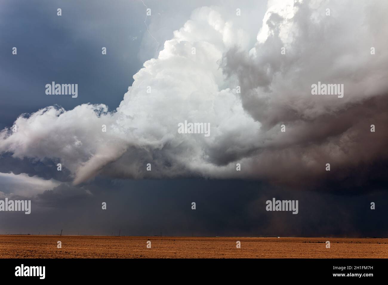 A funnel cloud beneath a supercell thunderstorm cumulonimbus clouds over a field near Lubbock, Texas Stock Photo