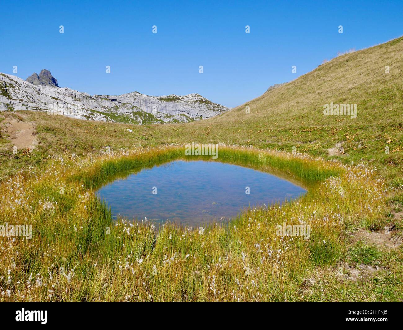 Pond in alpine landscape in Praettigau, Graubuenden, Switzerland. Stock Photo