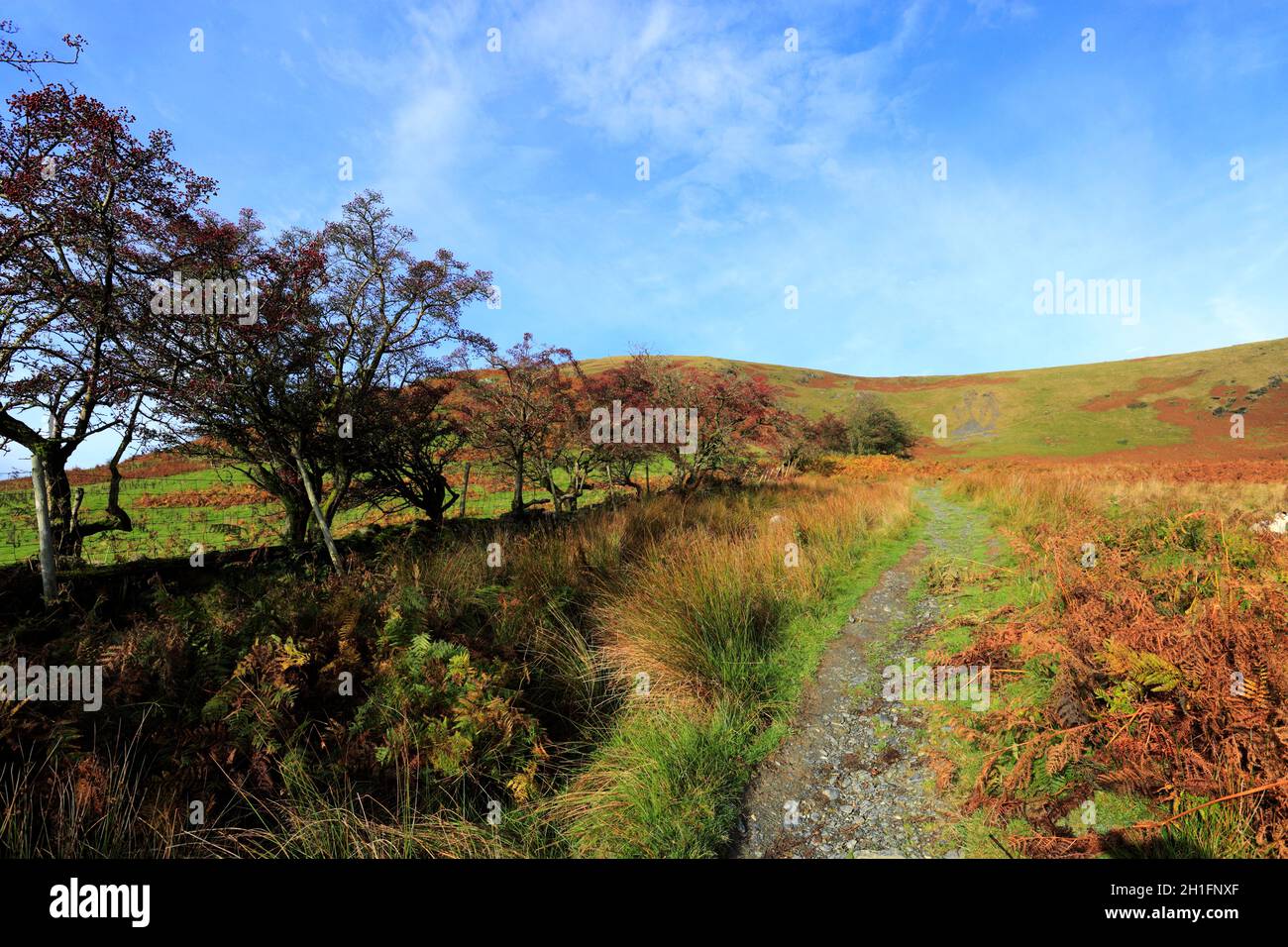 Walker on Scales Fell, Scales village, Lake District National Park