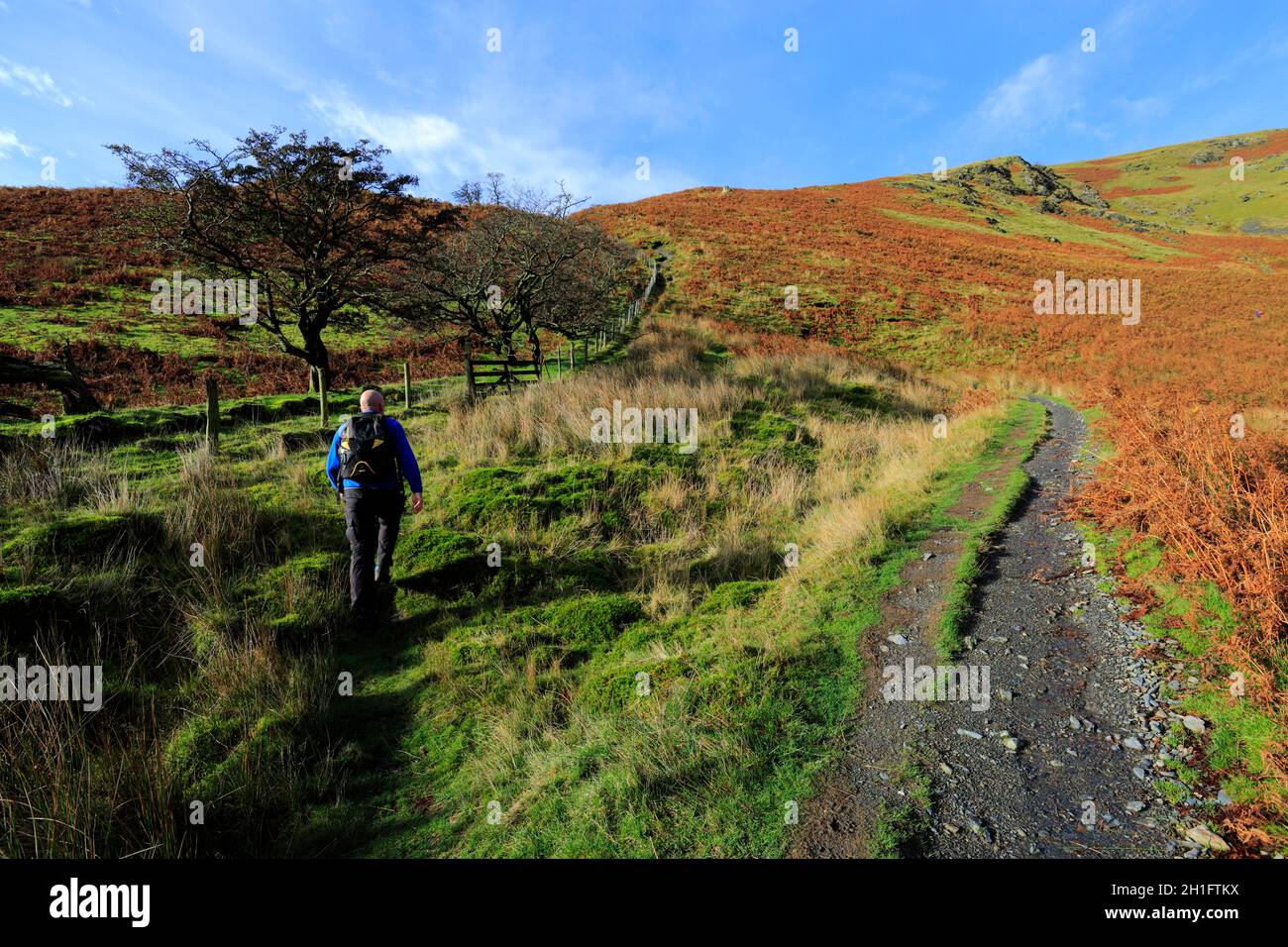 Walker on Scales Fell, Scales village, Lake District National Park