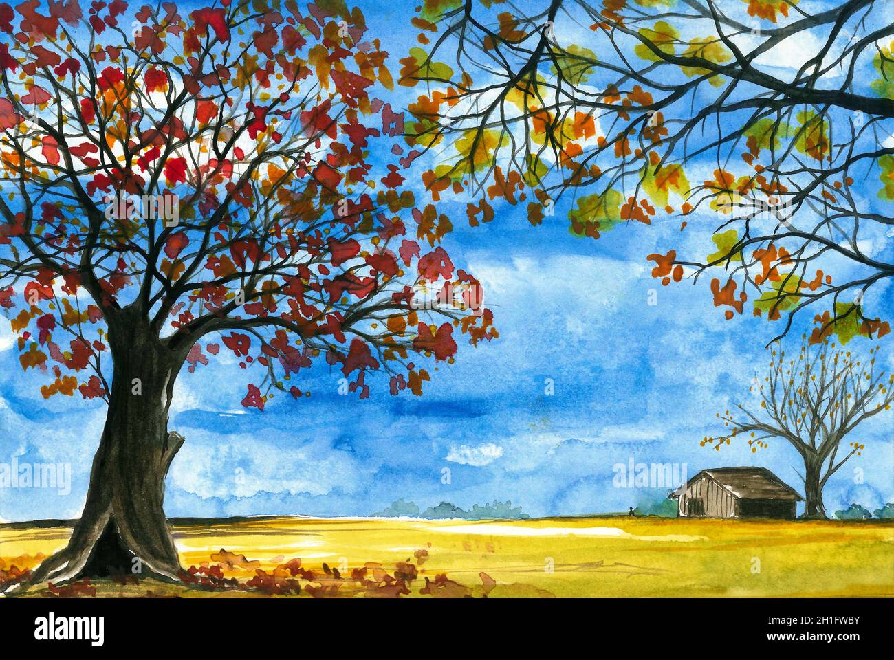 Watercolor painting. Rural landscape. Trees, cottage, yellow meadow and