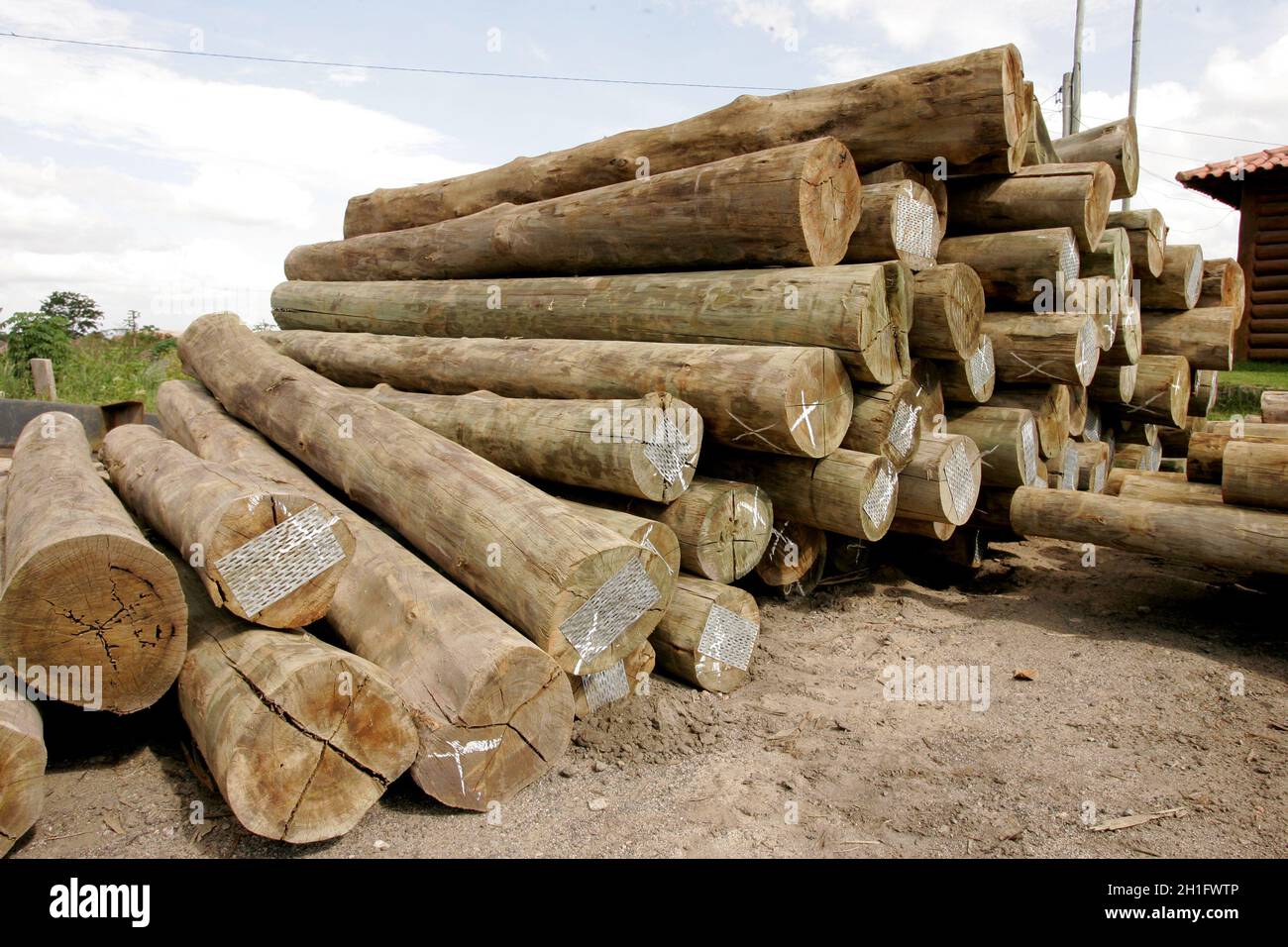 EUNAPOLIS, BAHIA / BRAZIL November 26, 2010 Autoclave treated