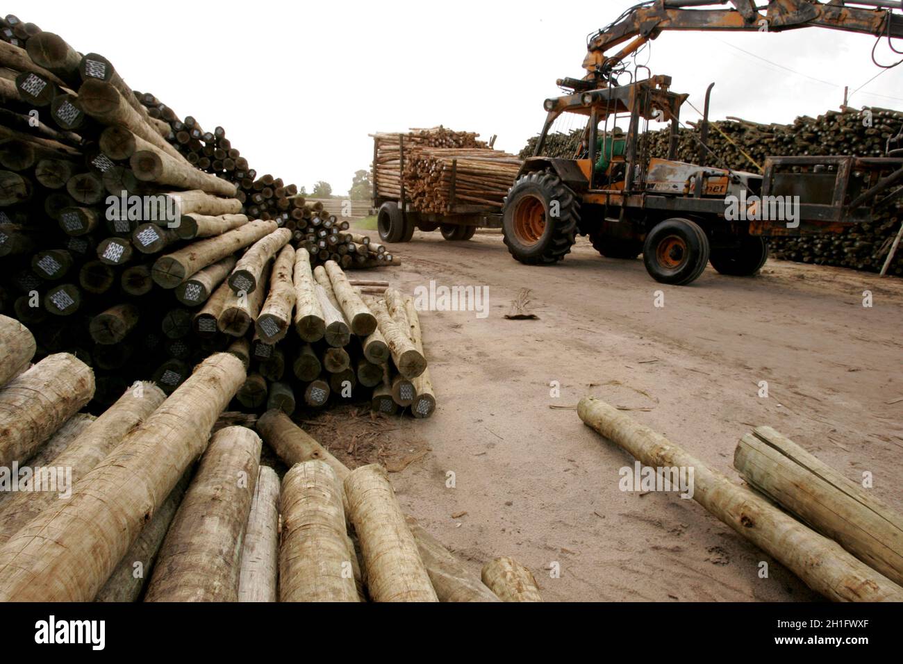 EUNAPOLIS, BAHIA / BRAZIL November 26, 2010 Autoclave treated