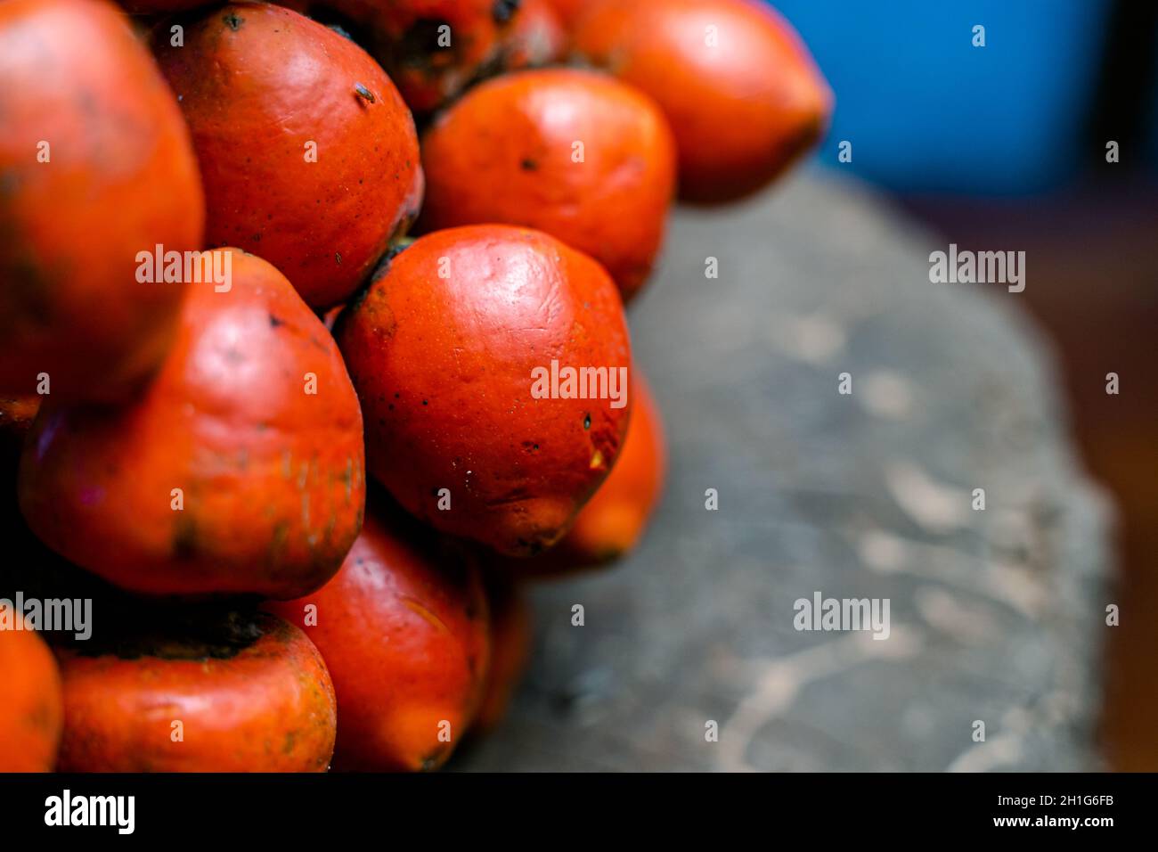 Fruits of chontaduro in the blurred background Stock Photo
