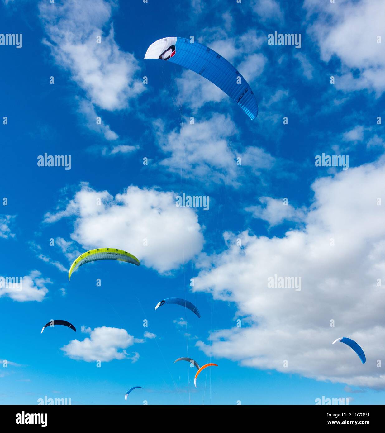 Foil kites against blue sky. Stock Photo