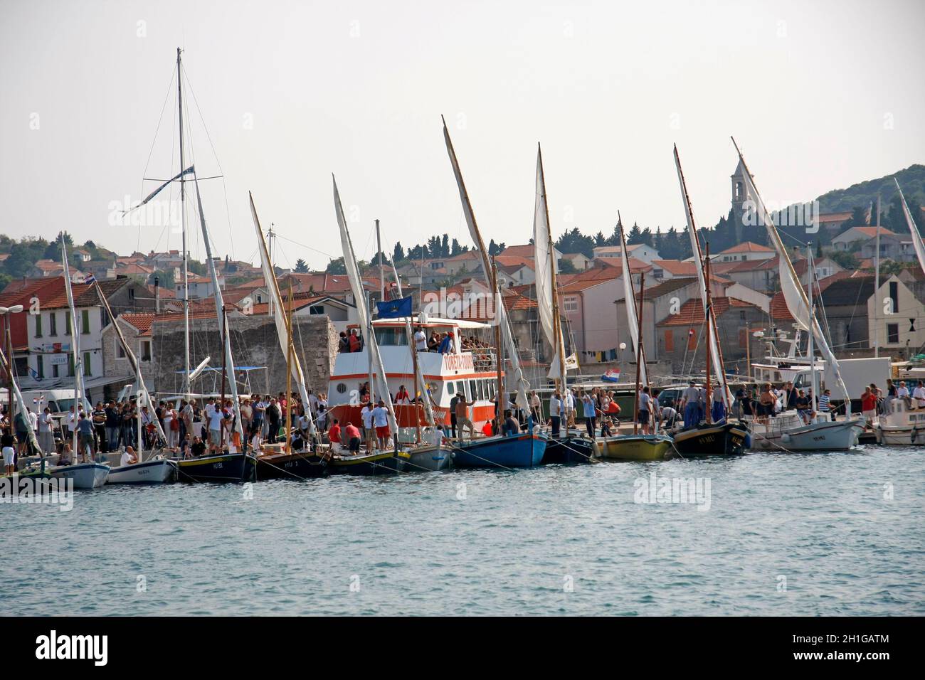 Murter betina hires stock photography and images Alamy