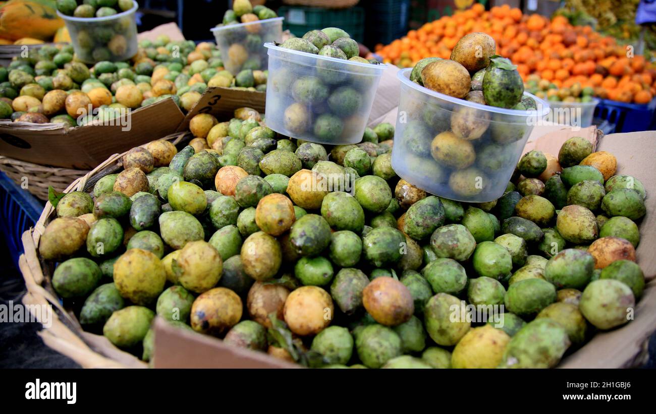 salvador, bahia / brazil - july 10, 2020: umbu fruit are seen for sale in the city of Salvador. Stock Photo
