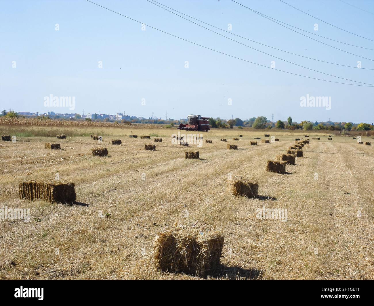 Beautiful image of an agricultural field with straw bales after harvest ...