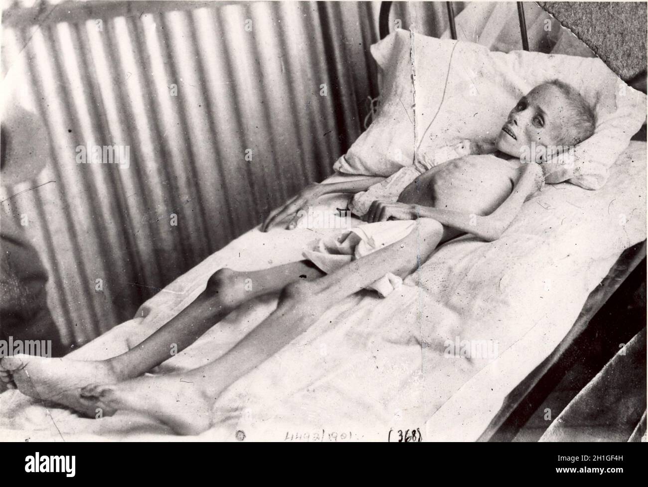 Elizabeth Cecilia van Zyl  (22 April 1894 – 9 May 1901) South African child inmate of the Bloemfontein concentration camp who died from typhoid fever during the Second Anglo-Boer War. Stock Photo
