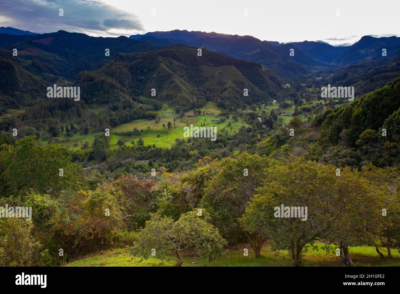 Beautiful view over the Cocora Valley in Salento, from El Mirador, located on the region of Quindio in Colombia Stock Photo