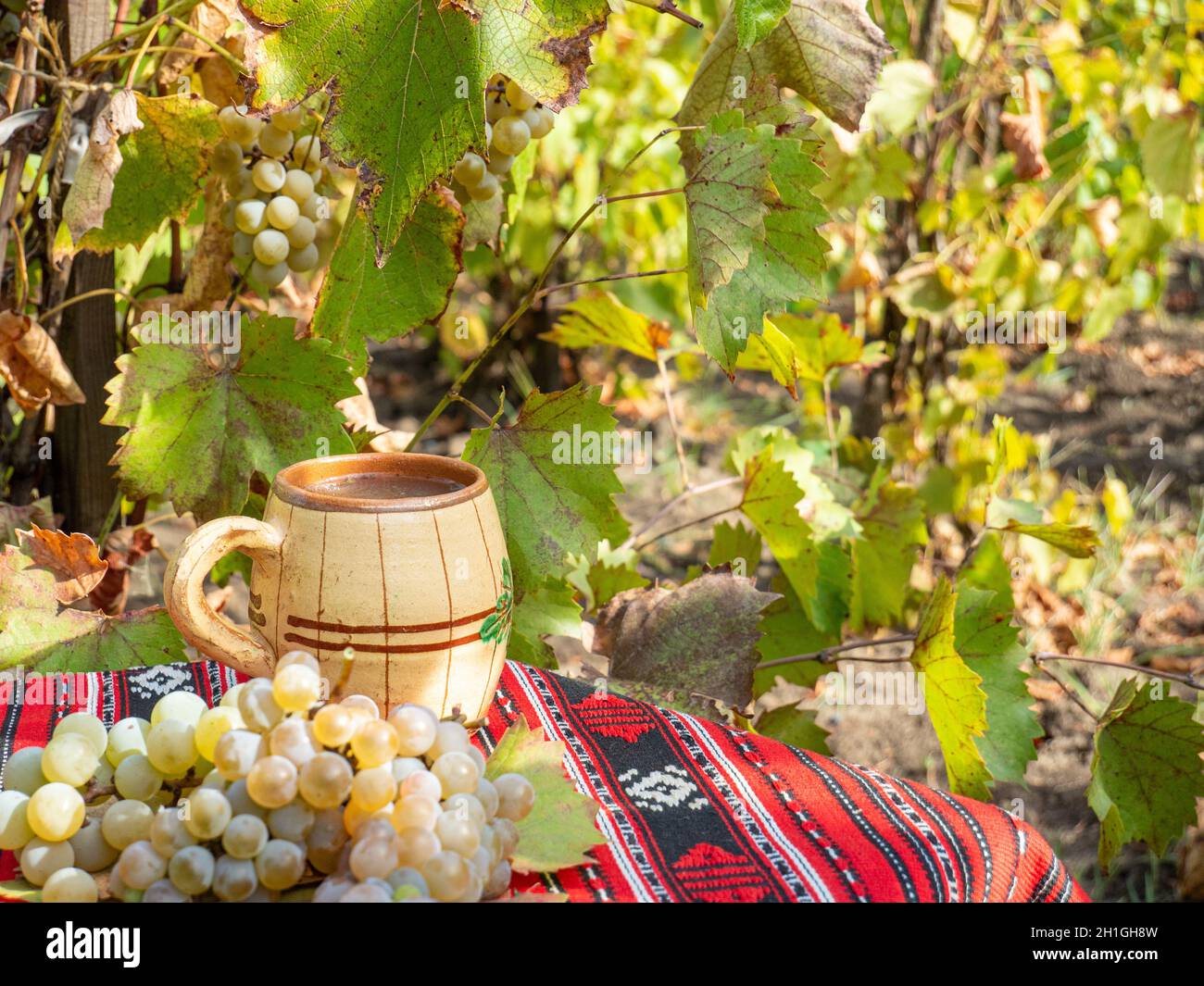 Grapes in the garden Stock Photo - Alamy
