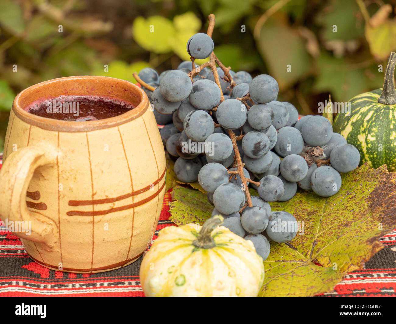 Grapes in the garden Stock Photo - Alamy