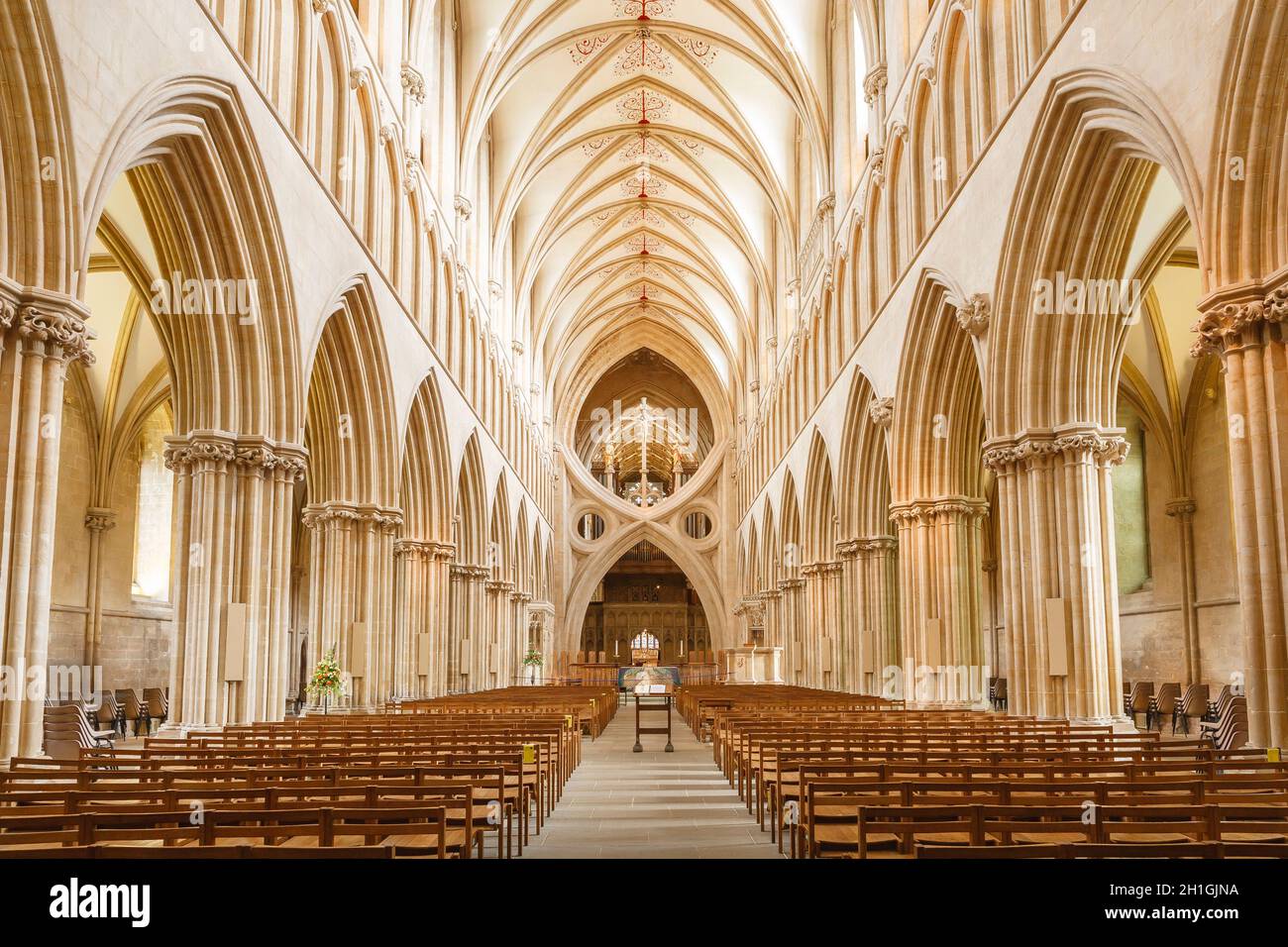 No se mueve Productivo Húmedo WELLS, UK - October 07, 2011. Inside the nave of Wells Cathedral, with perpendicular  Gothic architecture. Wells, Somerset, UK Stock Photo - Alamy