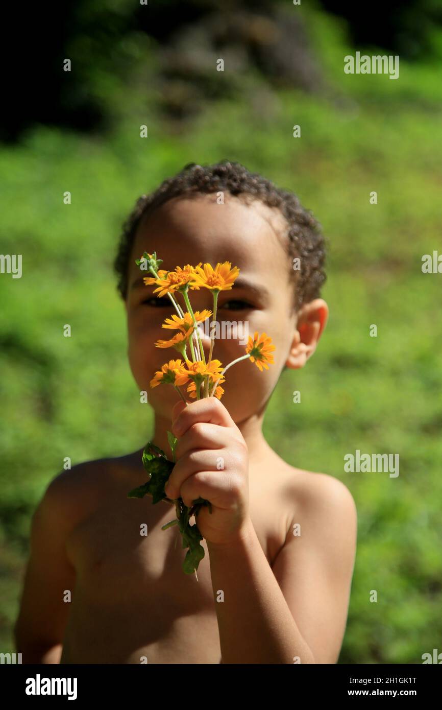 salvador, bahia / brazil july 29, 2020 safe child blooms in a garden