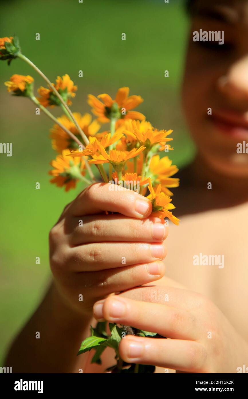 salvador, bahia / brazil july 29, 2020 safe child blooms in a garden in the city of Salvador