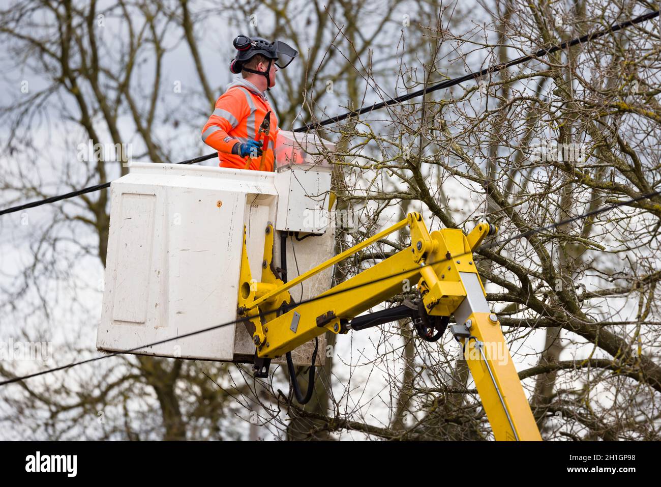BUCKINGHAM, UK - March 25, 2021. Utility worker in a cherry picker cutting back trees near overhead power lines, UK Stock Photo