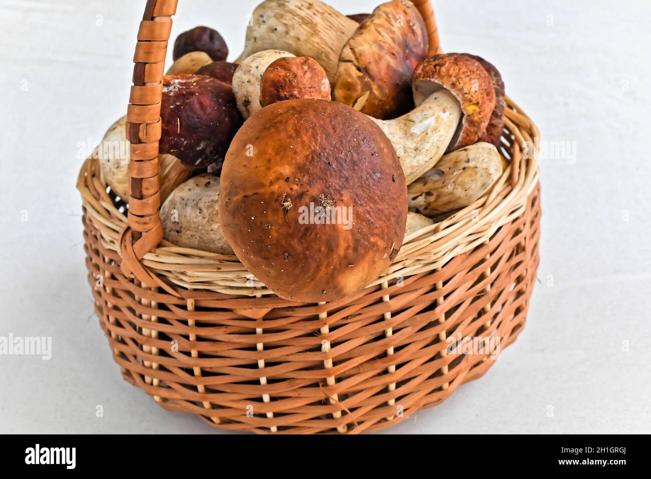 Porcini mushrooms. Magnificent autumn delicacies. Stock Photo