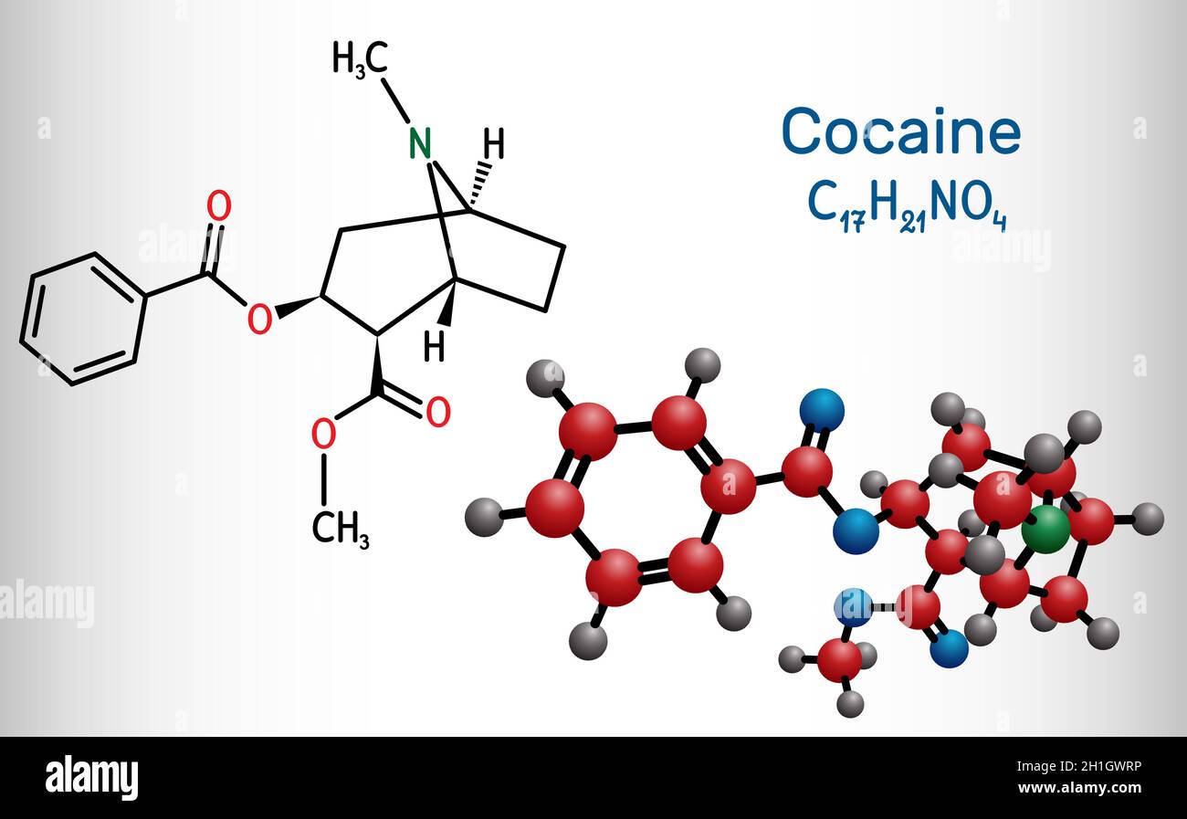 Cocaine, coke, coca molecule. It is tropane alkaloid with central nervous systems CNS stimulating, local anesthetic, vasoconstrictor. Structural chemi Stock Vector
