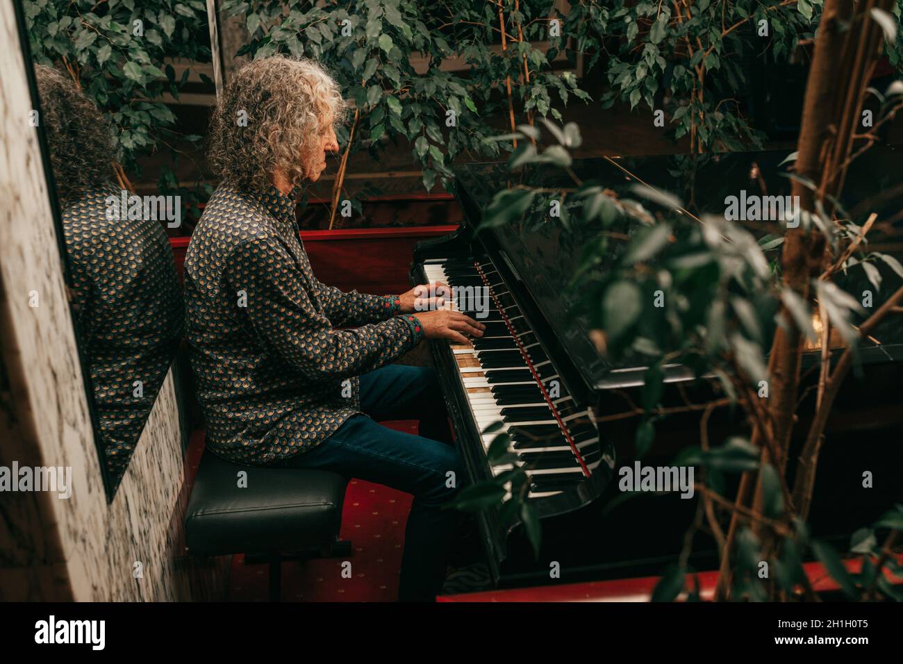 Portrait of man, age 60 - 65 years old, gray curly hair, sitting at piano and playing piece of music, focused, side view. Stock Photo