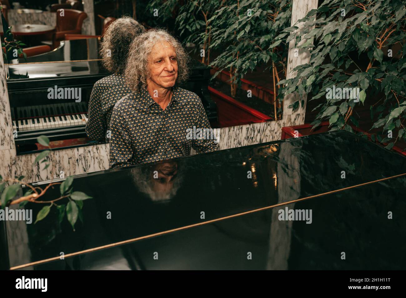 Portrait of man, age 60 - 65 years old, gray curly hair, sitting at piano and playing piece of music, focused, injoing melody. Stock Photo