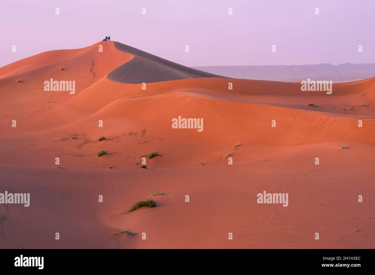 A group of people on a sand dune in the Sahara, Morocco, Africa Stock ...
