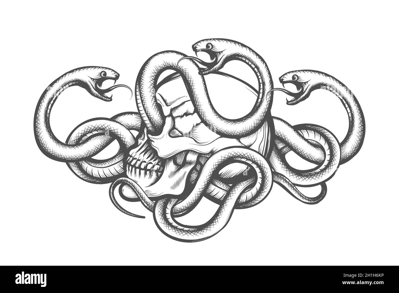 Hand drawn Tattoo of human skull entwined by snakes . Vector illustration Stock Vector