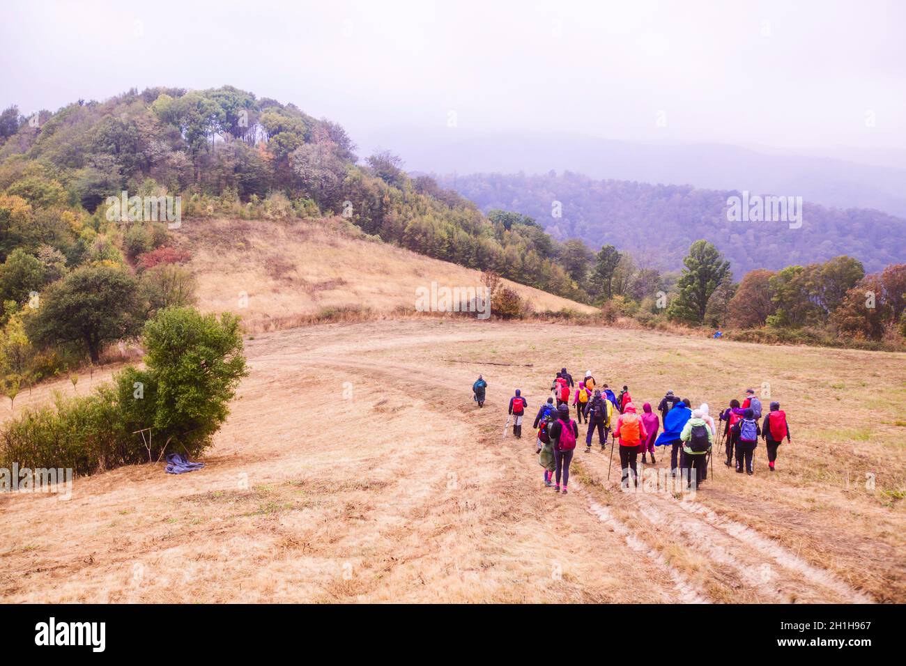 People walking in nature hi-res stock photography and images - Alamy