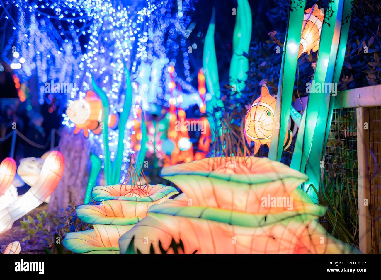 Dublin, Ireland, November 2018 Wild lights at Dublin zoo. Light