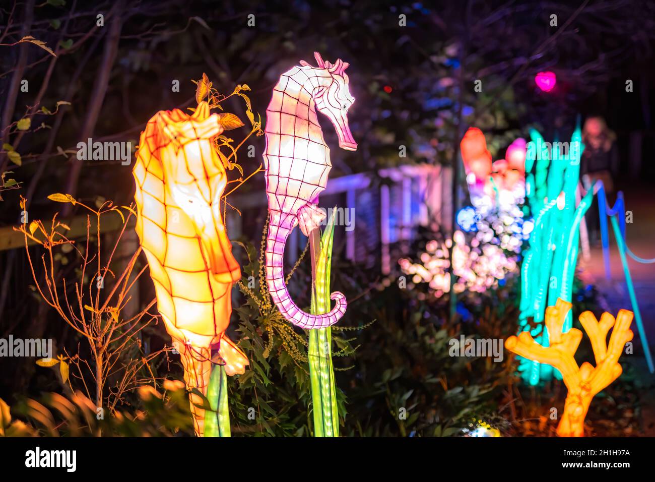 Dublin, Ireland, November 2018 Wild lights at Dublin zoo. Light