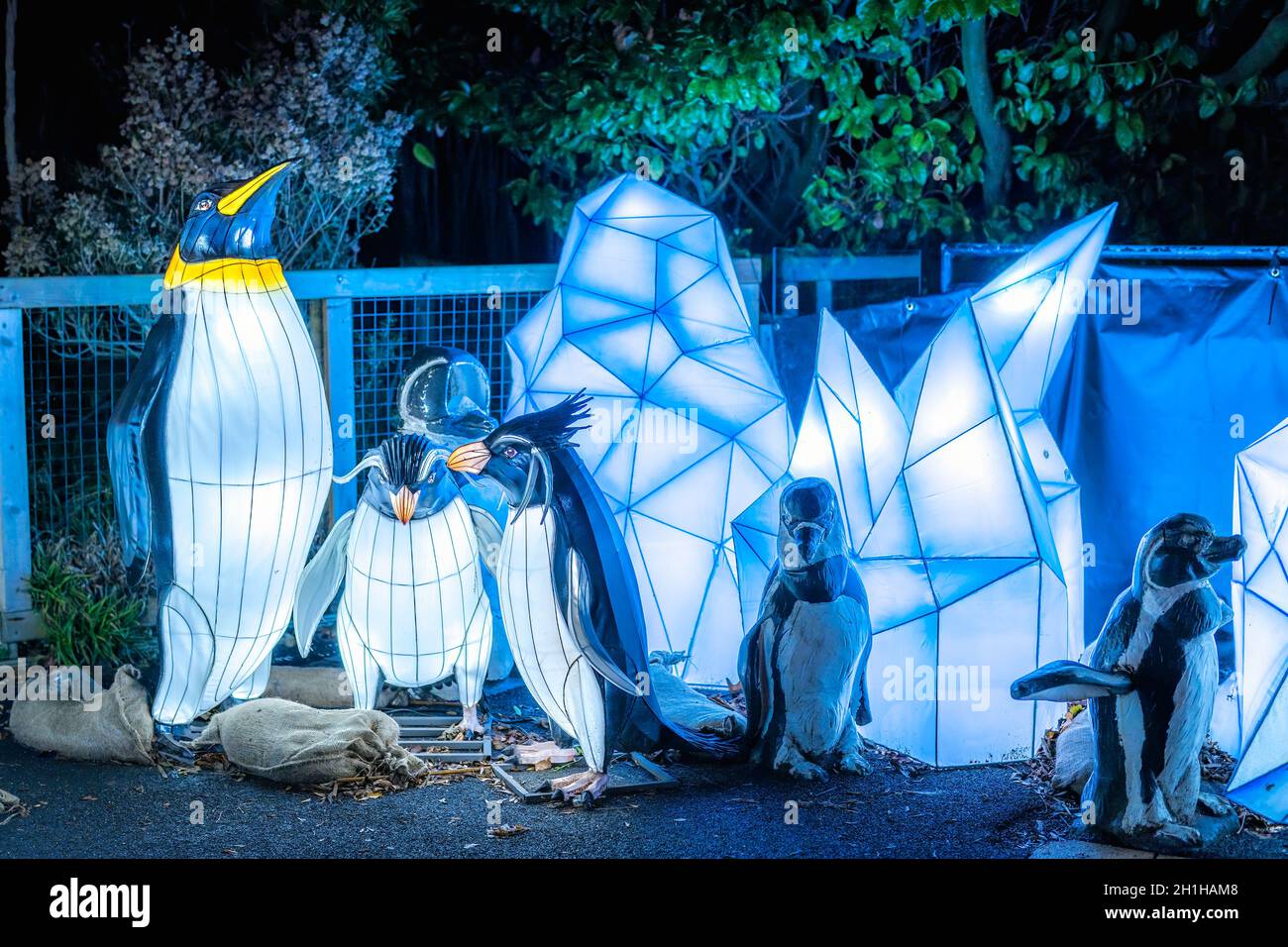Dublin, Ireland, November 2018 Wild lights at Dublin zoo. Light