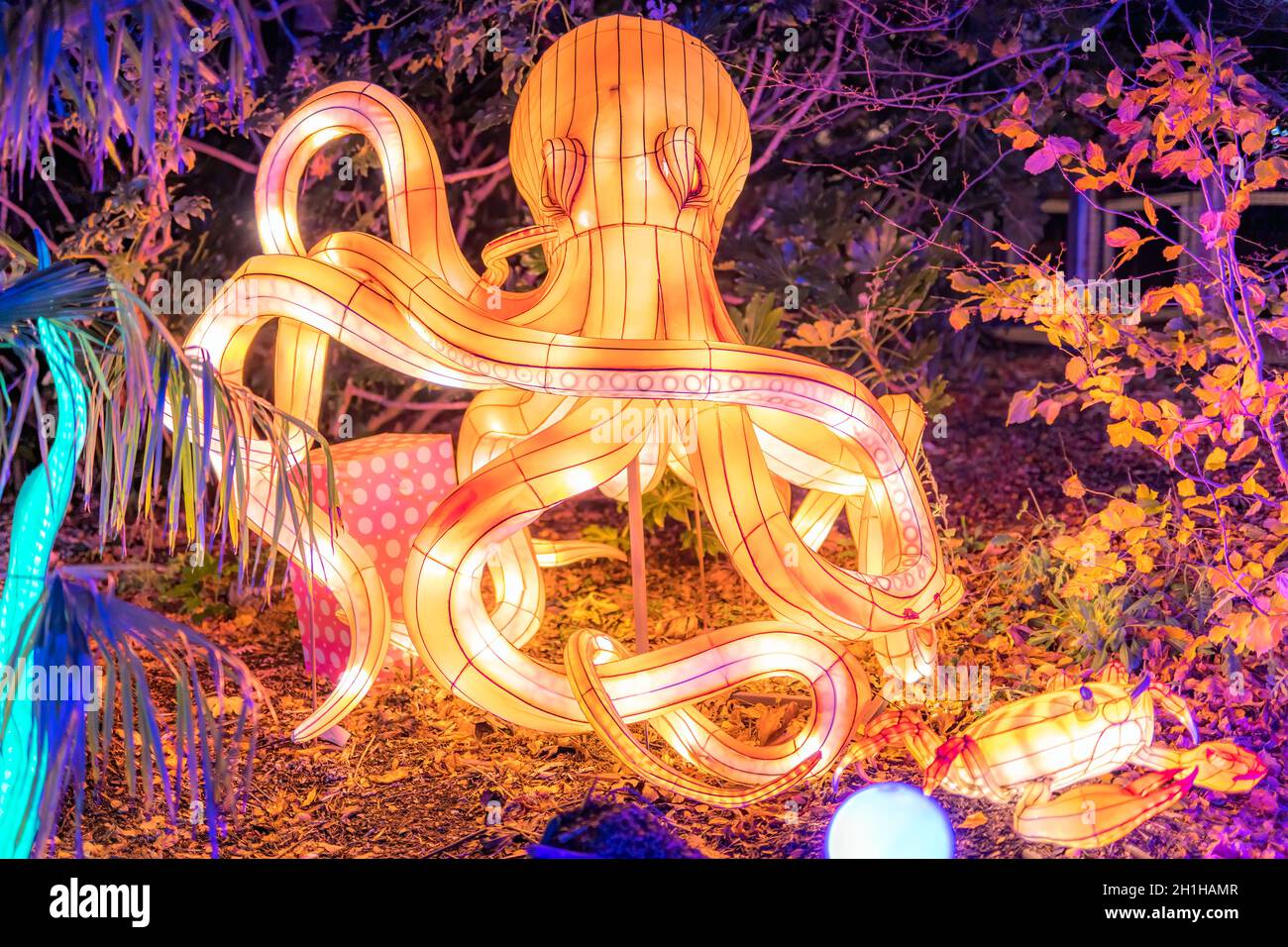 Dublin, Ireland, November 2018 Wild lights at Dublin zoo. Light