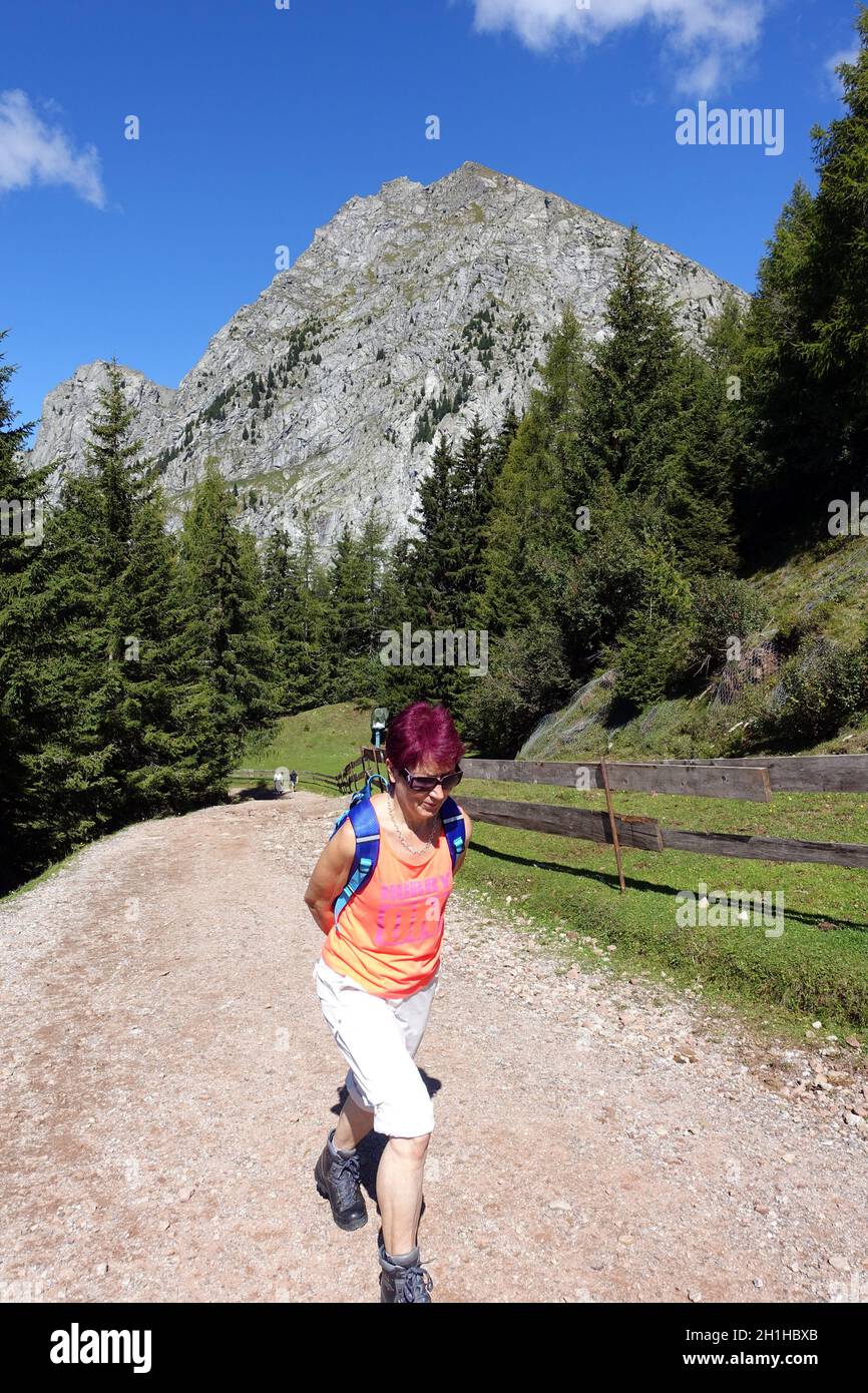 Ifinger, Berg in den Sarntaler Alpen in Südtirol, Meran, Italien Stock Photo