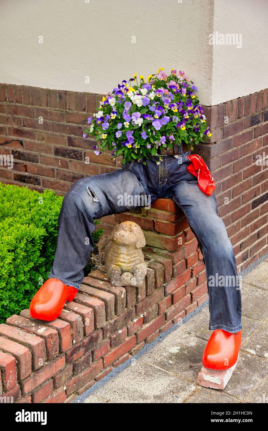 Pair of blue jeans stuffed up with Violas as a garden ornament Stock Photo