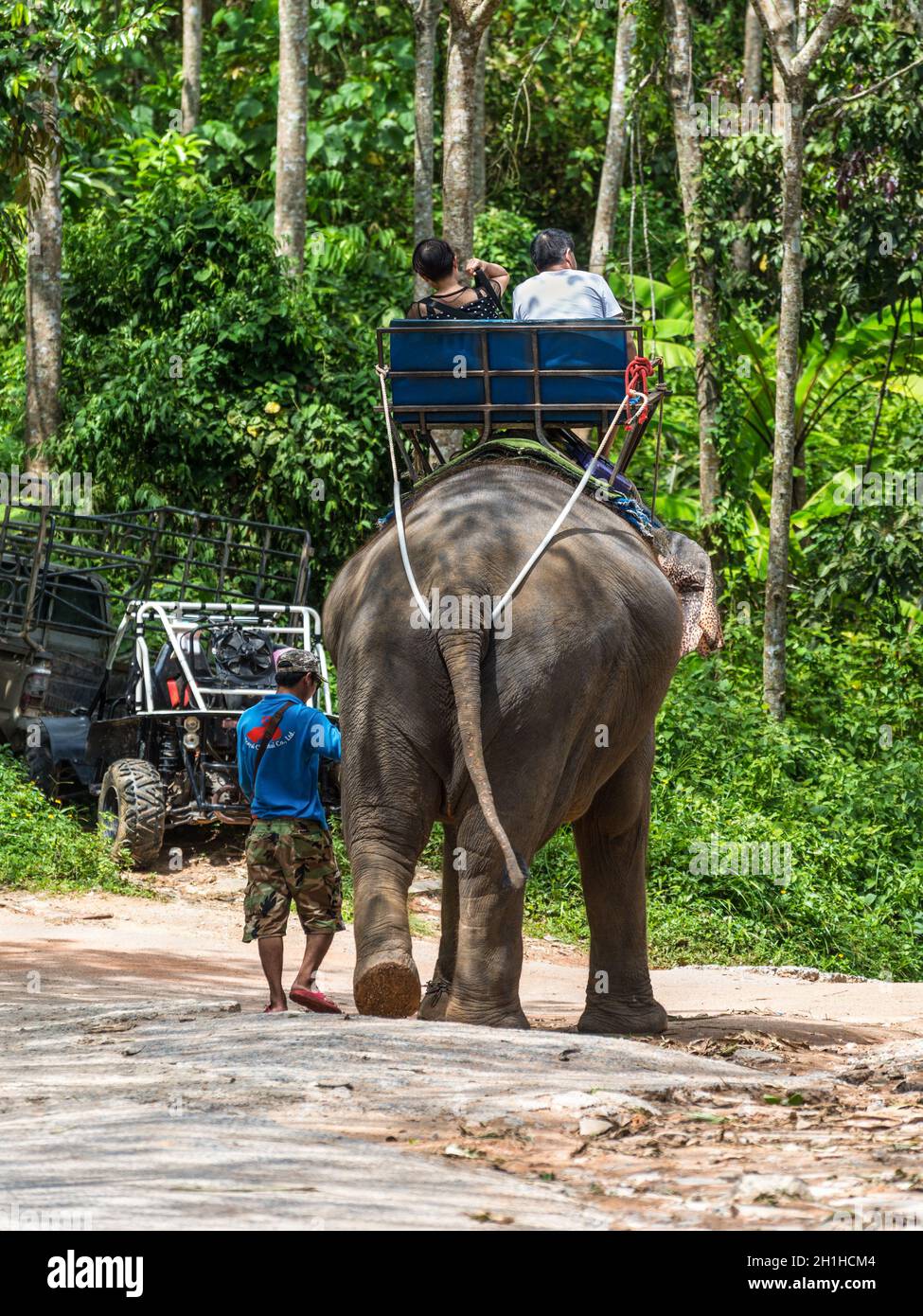 Phuket, Thailand - November 29, 2019: Elephant trekking through jungle in Phuket, Thailand. Stock Photo