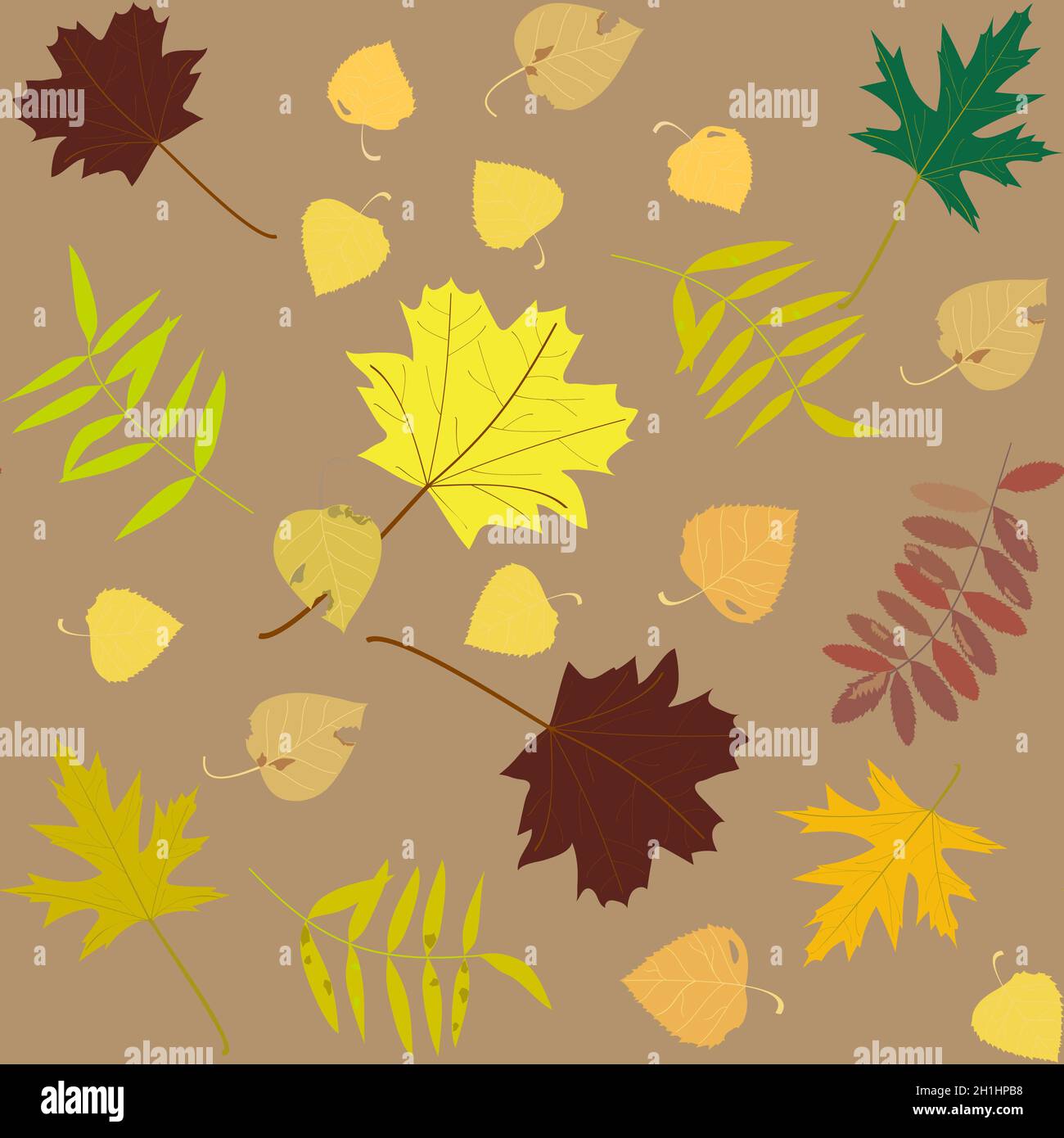 pattern autumn yellow, red, orange leaves of maple, birch, poplar, rowan Stock Vector
