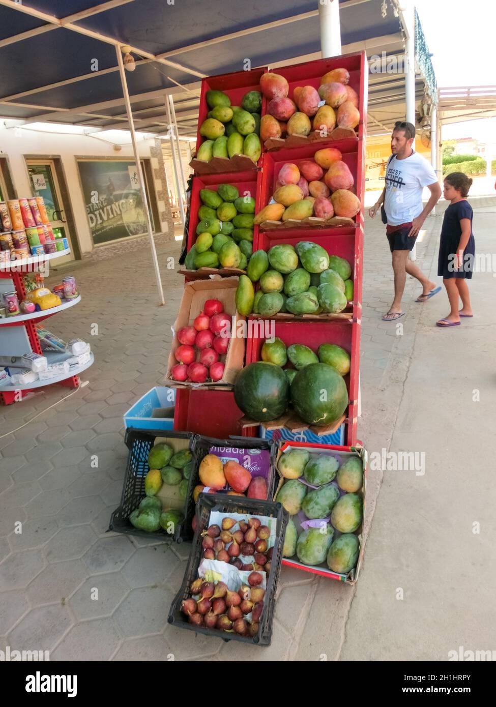 Blox Fruit - Nova atualização e Showcase da Fruta *DOOR* em portugues!! 