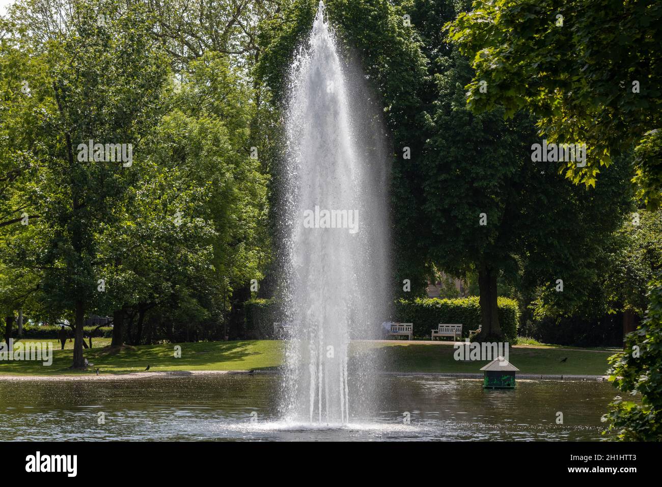 Water fountain in the park Warmer Damm in Wiesbaden, Germany Stock Photo