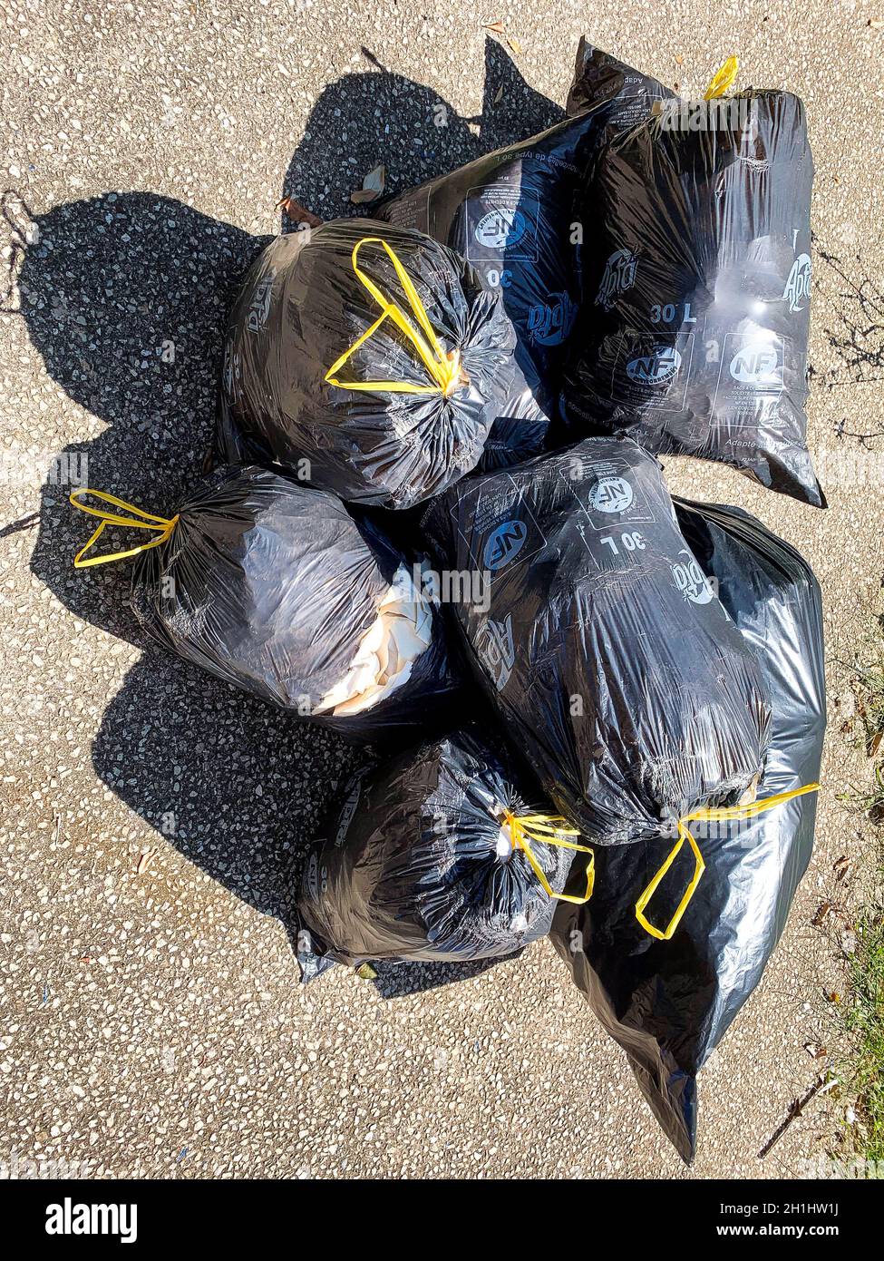 Plastic bags filled with domestic waste, France Stock Photo Alamy