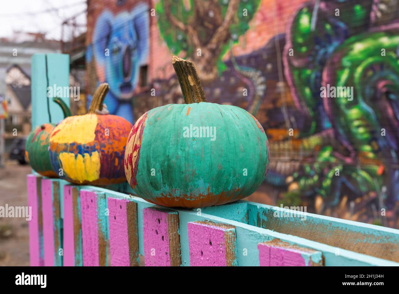 Three Pumpkins on Pink Blue Fence Stock Photo