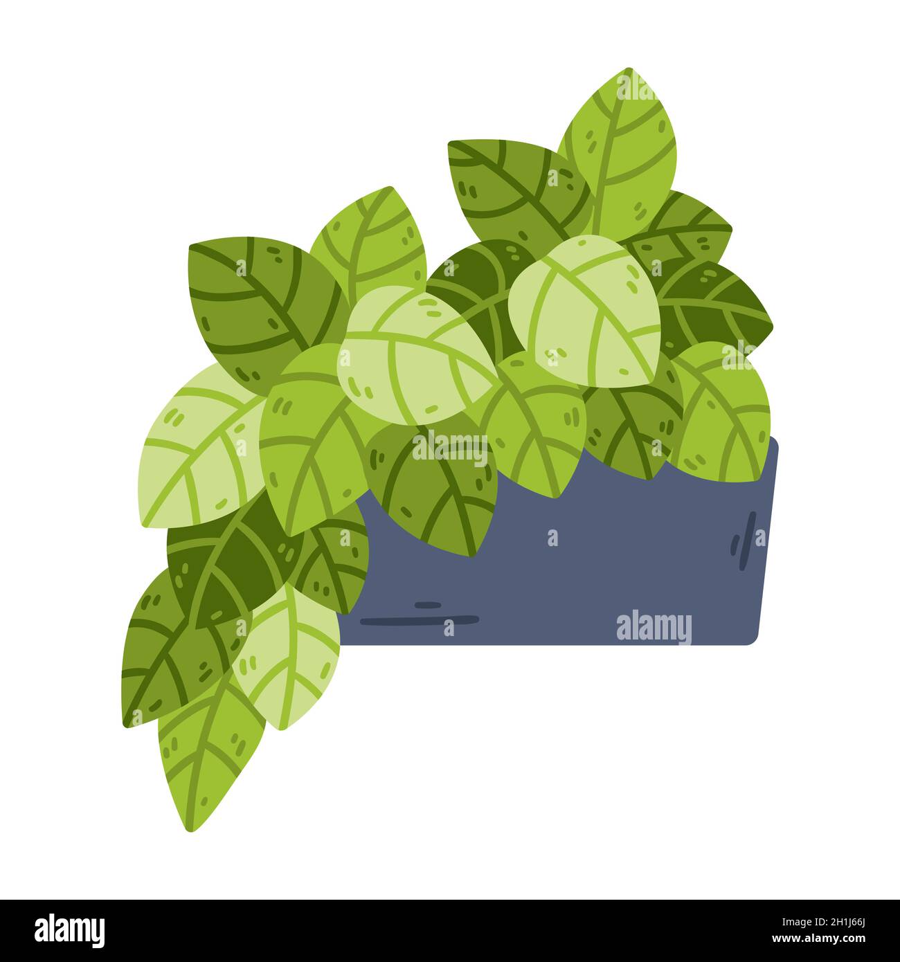 Potted houseplant. Home hobby gardening. Vector object isolated on white background. Stock Vector