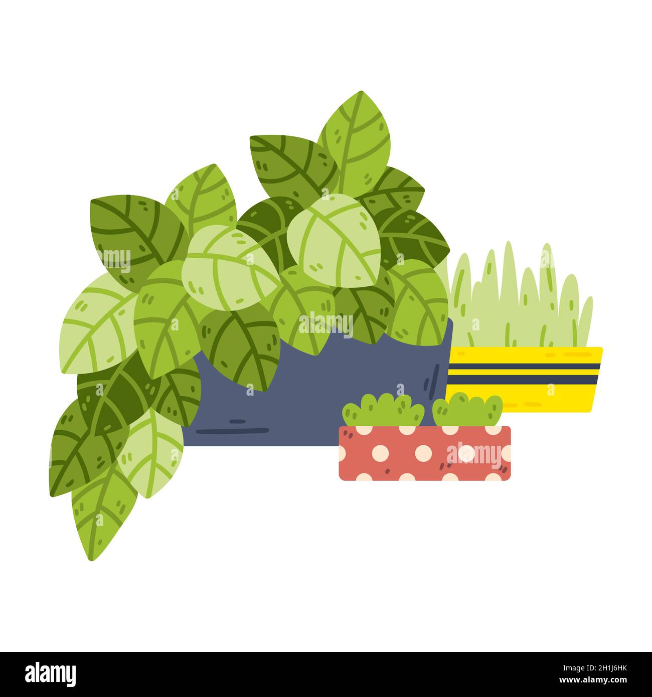 Potted houseplants. Home hobby gardening. Indoor and outdoor landscape garden potted plants. Vector objects isolated on white background. Stock Vector