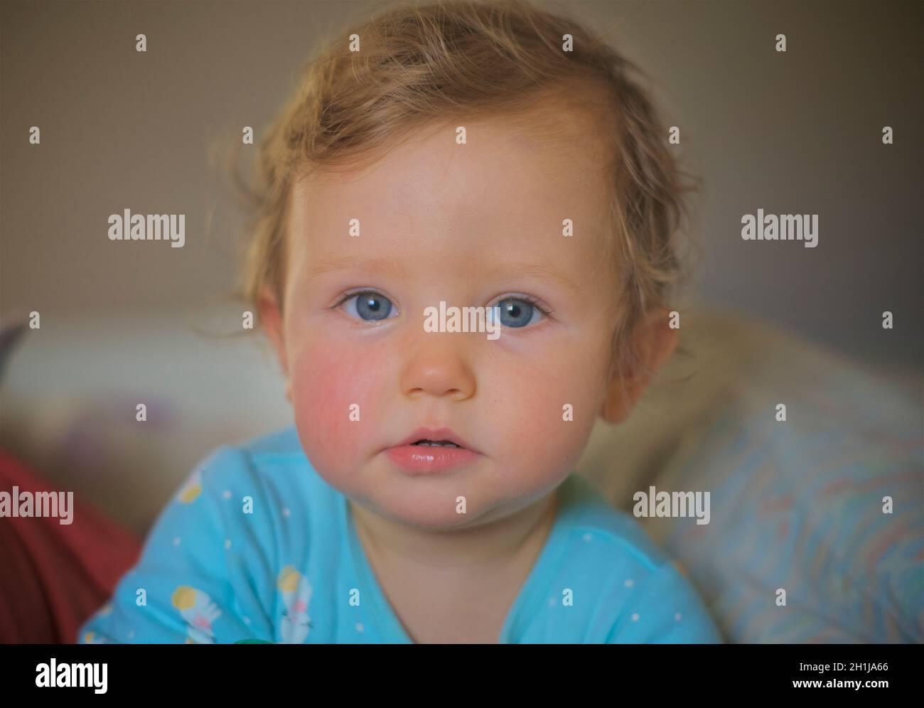 Portrait of a young teething baby girl with a rosy cheek. Toddler. Model Released. Stock Photo