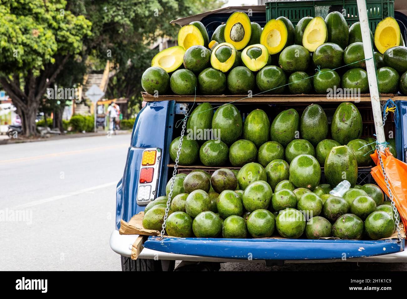 Street sell of avocado at an old car at El Cerrito on the Valle del Cauca region in Colombia Stock Photo