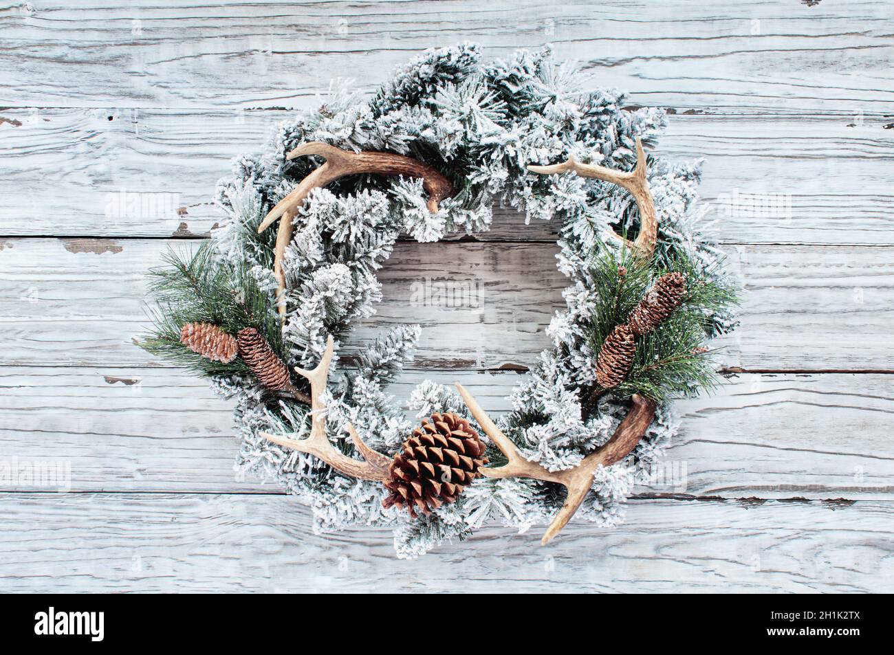 Flocked stylish country or hunters Christmas wreath over white wooden table background.  Wreath is made with pine cones, branches, and deer antlers. Stock Photo
